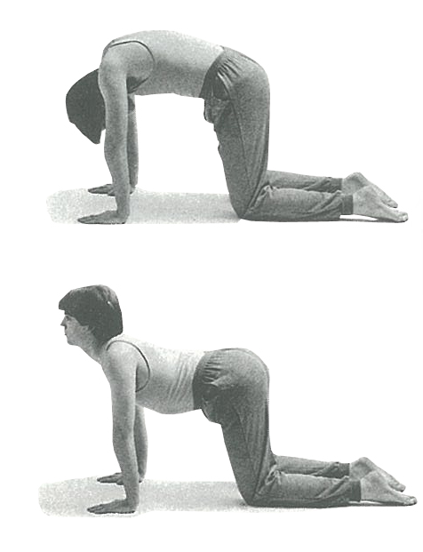 exercises to combat lower back pain